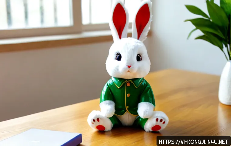 콩지래빗의 인기 요인 관련 이미지 1