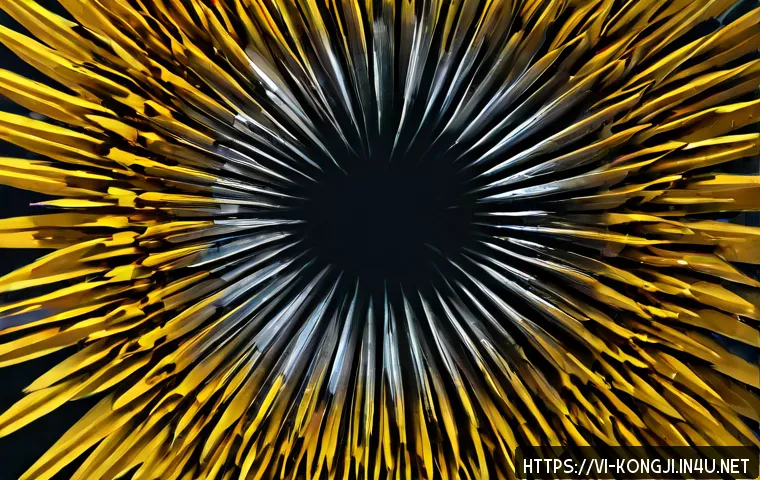 콩지래빗의 인기 요인 관련 이미지 2